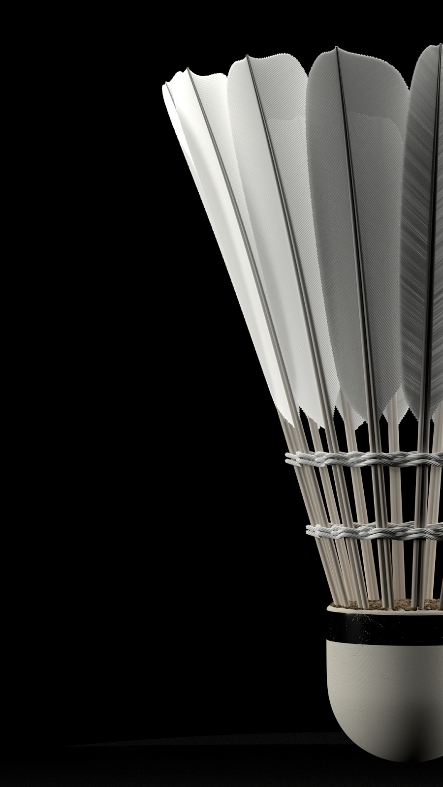 端限制布朗 端限制布朗