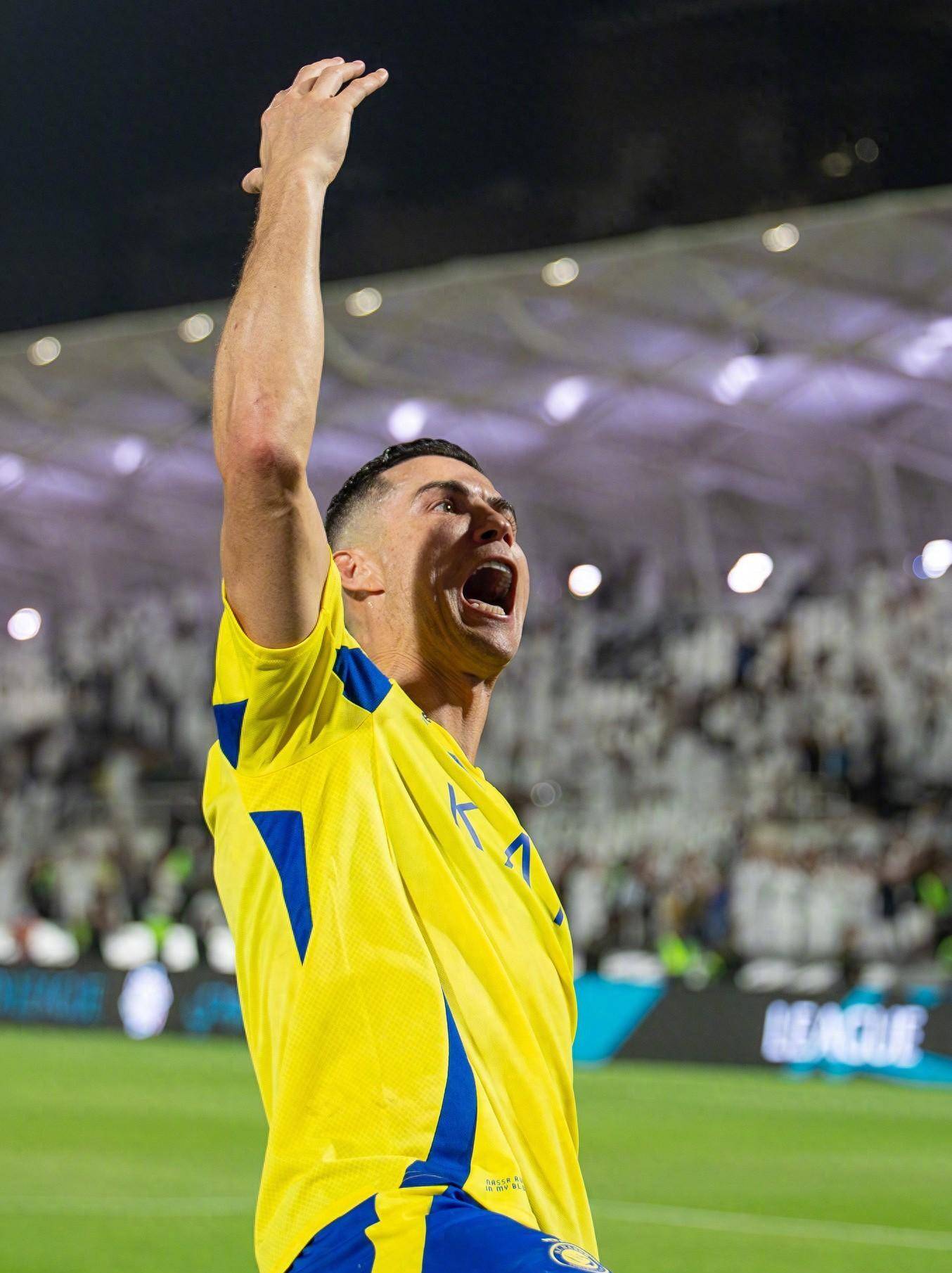 职业赛场是 职业赛场是