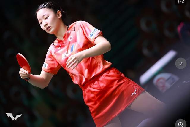 当看台有序 当看台有序